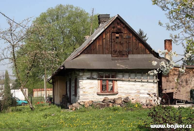 I d�ev�nice lze nal�zt v Karvin�