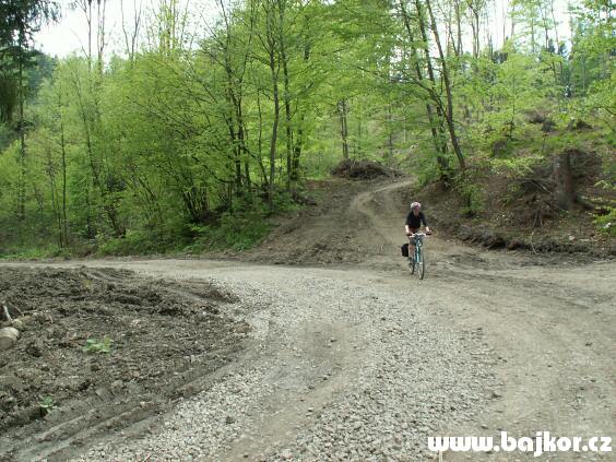 �esk� strana v N�dku - Go�e je ji� norm�ln� sj�zdn�