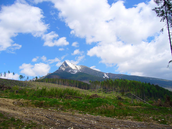 V tuto dobu je je�t� zasn�en�