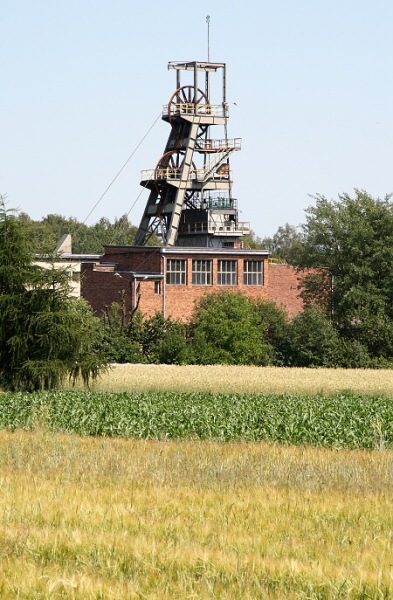 T�n� v� v pol�ch vypad� hezky