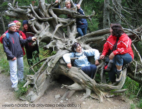 Z n�v�t�vy Jesen�k�