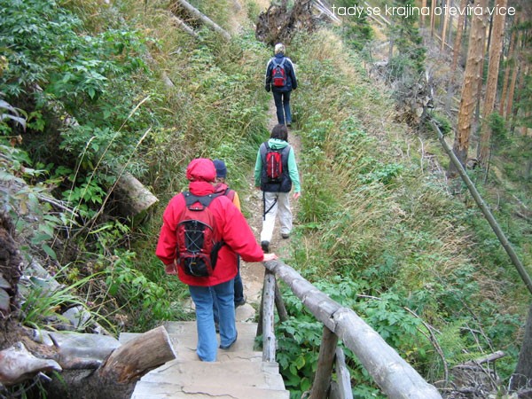 Z n�v�t�vy Jesen�k�