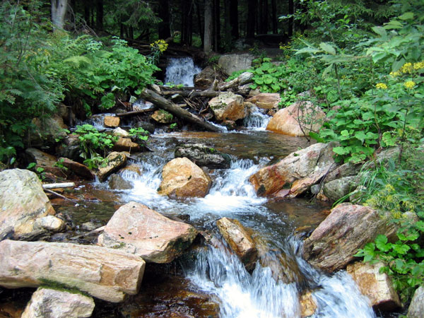 Z n�v�t�vy Jesen�k�