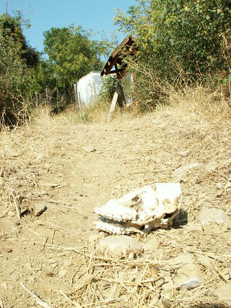 Co m� �ek� d�le?!