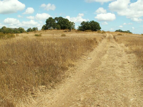 Horsk� sp�len� pl�n�