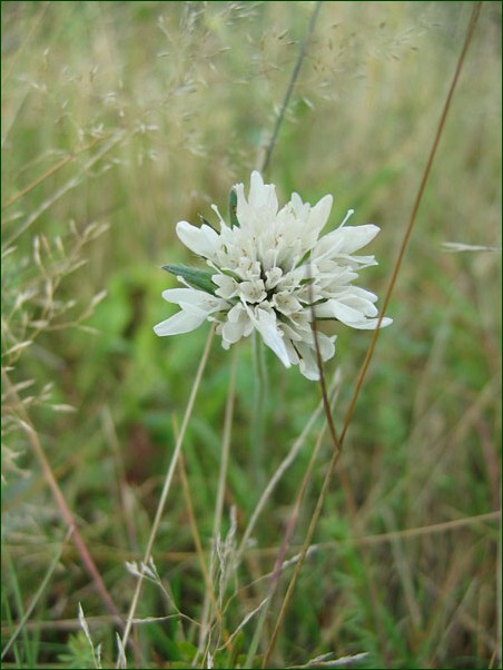 Vset�nsko m� co nab�dnout k turistice!