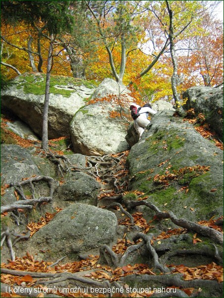 Vset�nsko m� co nab�dnout k turistice!