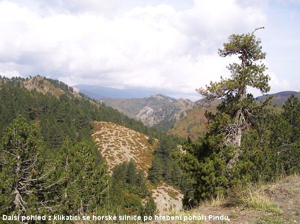 Miroslav Szlauer projel �ecko na kole