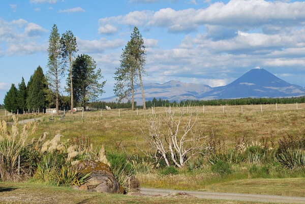 Z cykloputov�n� a turistiky po Nov�m Z�landu