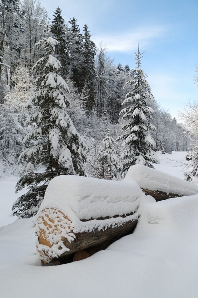 Sn�hu je v Beskydech hodn�