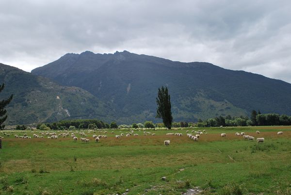 Nov� Z�land je kr�sn� zem�