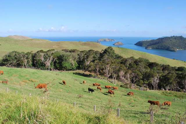 Voln� pokra�ov�n� fotografi� z Nov�ho Z�landu