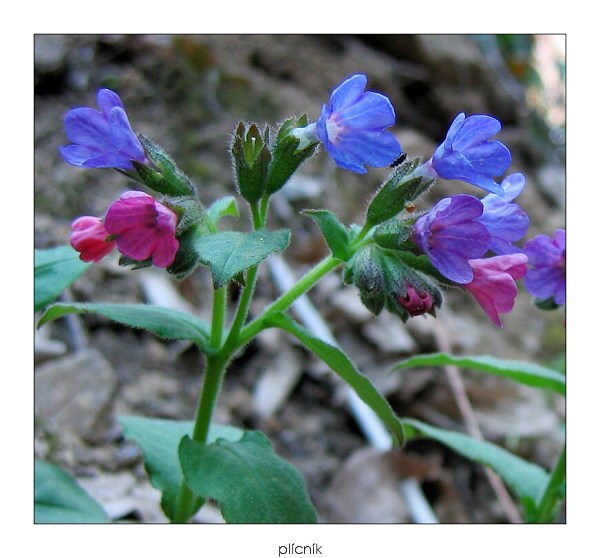 P�r foto z turistiky v Moravsk�m krasu