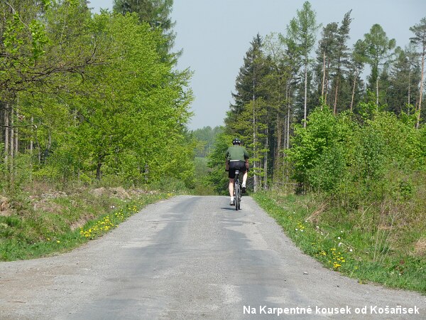 Okol� Ko�a�isek