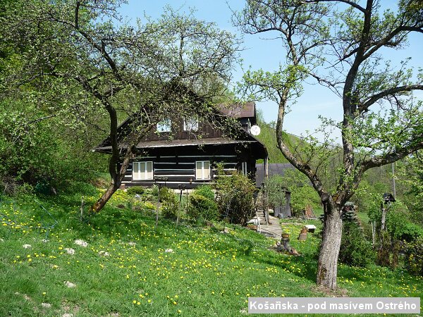 Okol� Ko�a�isek