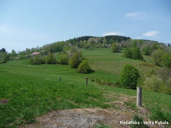 Okol� Ko�a�isek