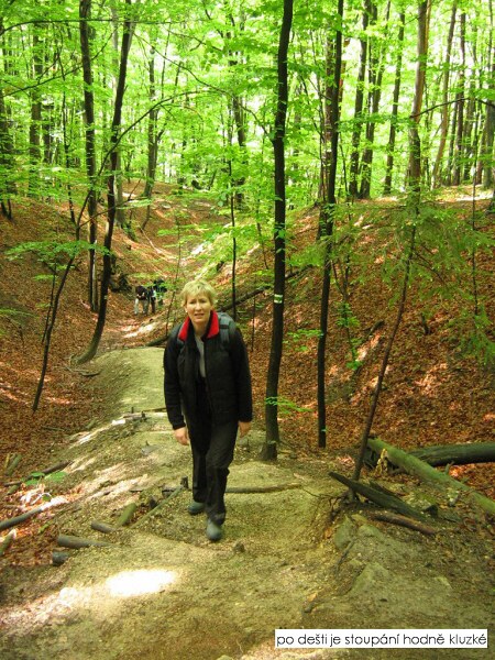 V��lap na S�lov