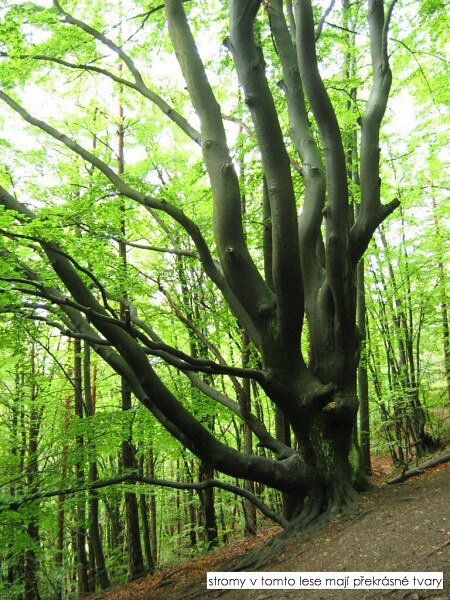 V��lap na S�lov