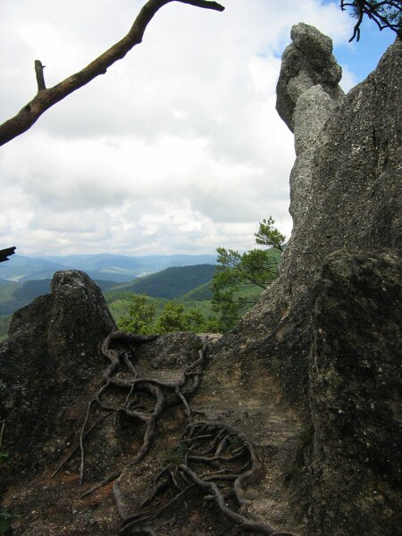 V��lap na S�lov