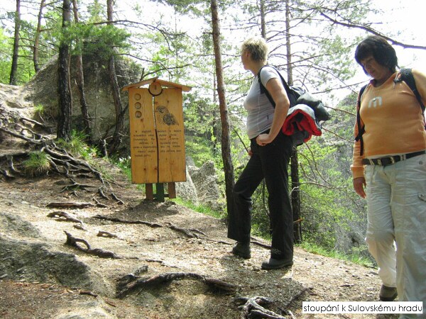 V��lap na S�lov