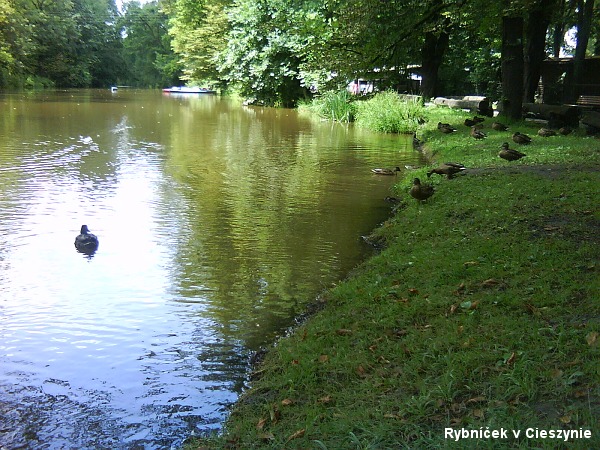 Pohled na �eskopolsk� pohrani��