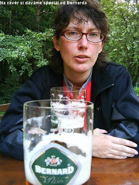 Pohled na �eskopolsk� pohrani��