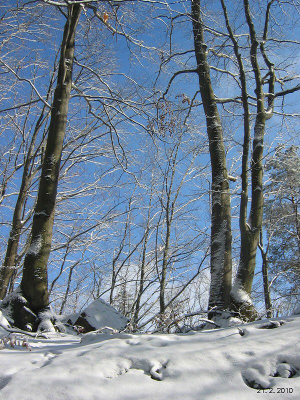 Zimn� Pul��nsk� sk�ly