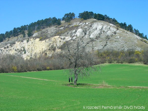 Kr�sy ji�n� Moravy