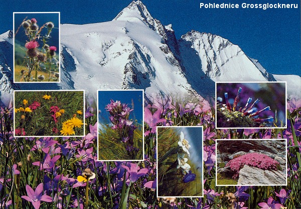 Tady budou sn�mky , kter� po��dili Palo s Er�ou