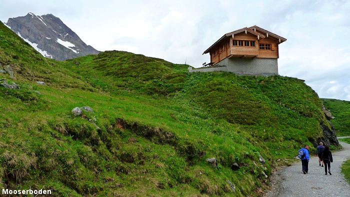 Tady budou sn�mky, kter� po��dil Palo s Er�ou....