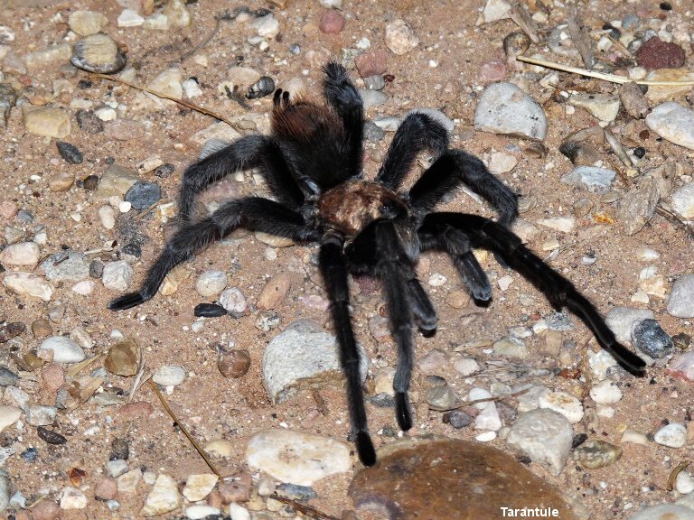 dal�� putov�n�