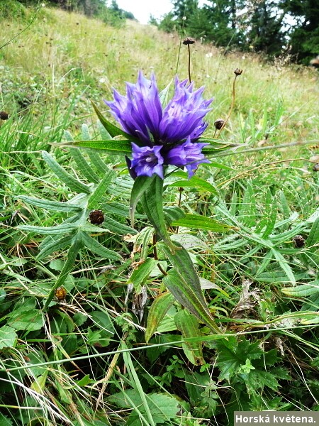 Chladn� v�kend na Slovensku