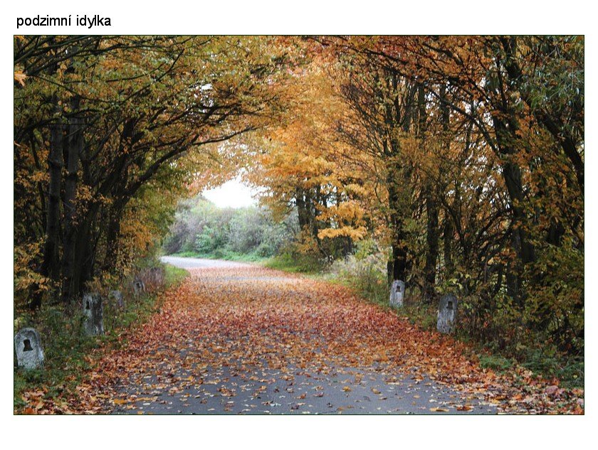 Podzimn� vych�zka