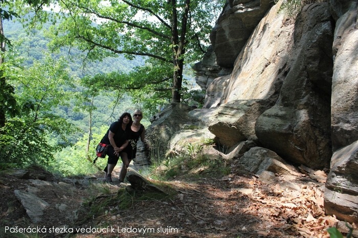 K Ledov�m sluj�m