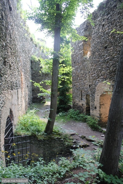 K Ledov�m sluj�m