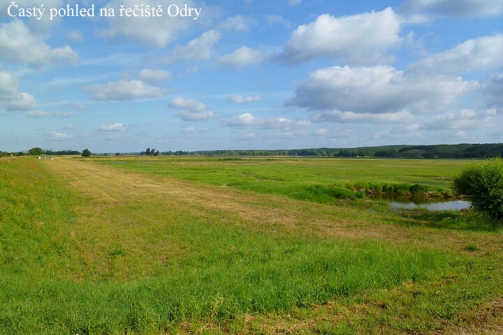 Jak to vid�l Otmar Svr�ek 