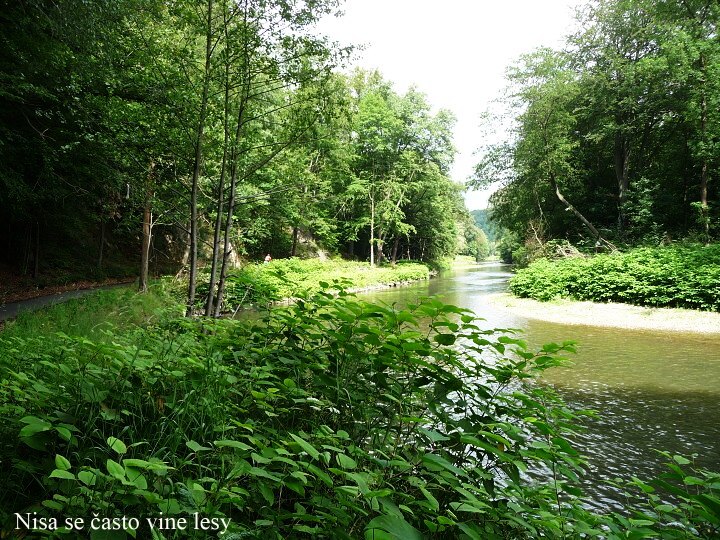 Jak to vid�li Zubkovi