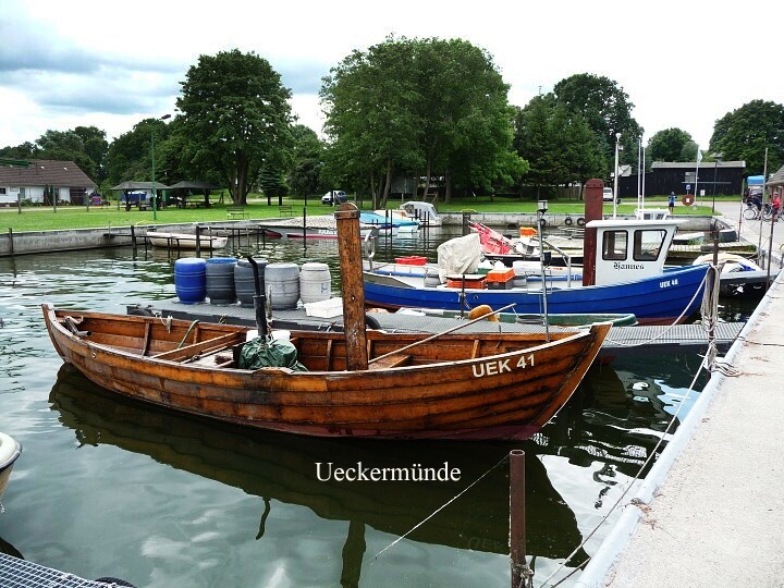 Jak to vid�li Zubkovi