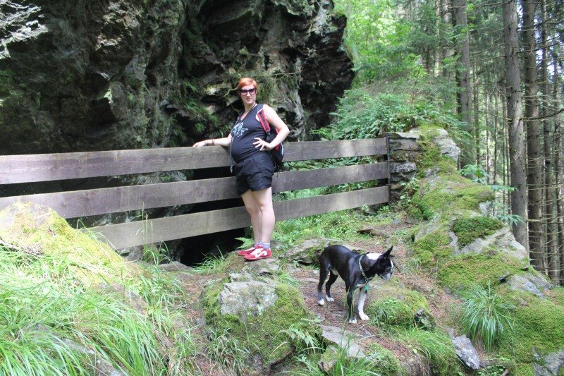 T�i �umavsk� hrady