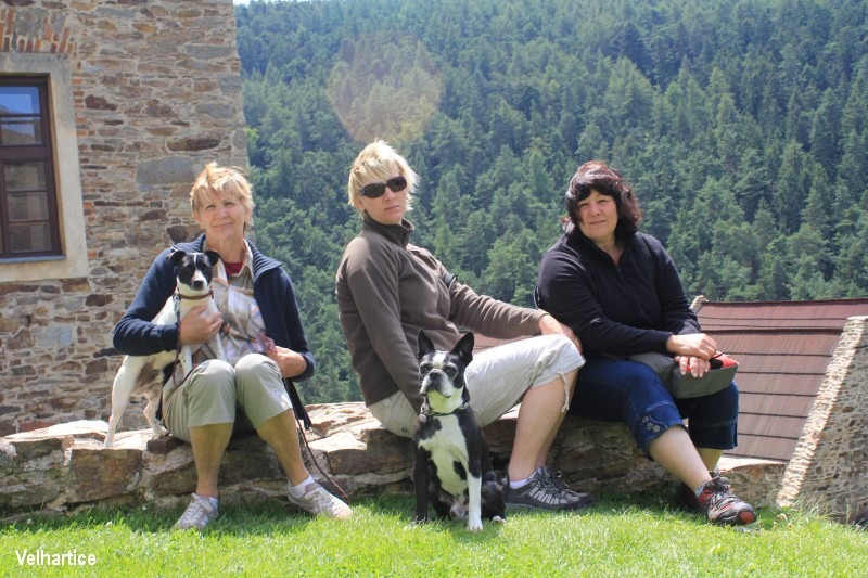 T�i �umavsk� hrady