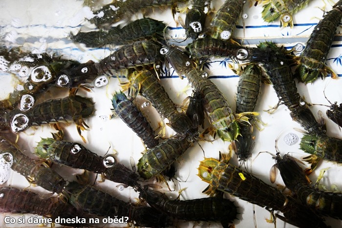 Ochutnejte s n�mi!