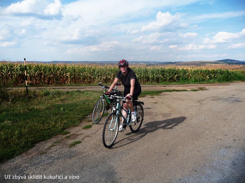 Na kole kolem vinohrad�