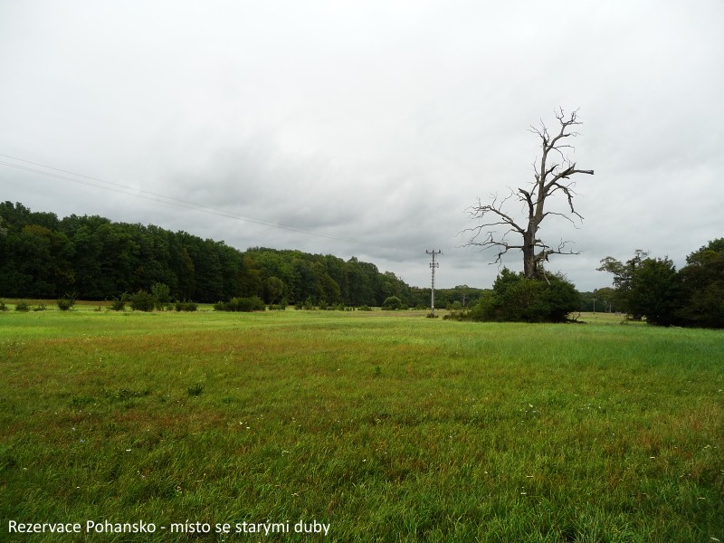 Na kole kolem vinohrad�