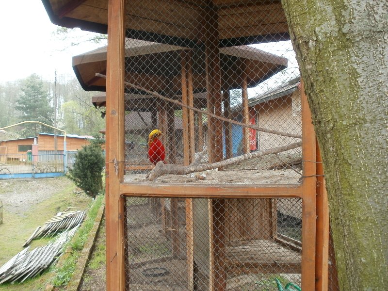 Jarn� zah�jen� cyklov�let�