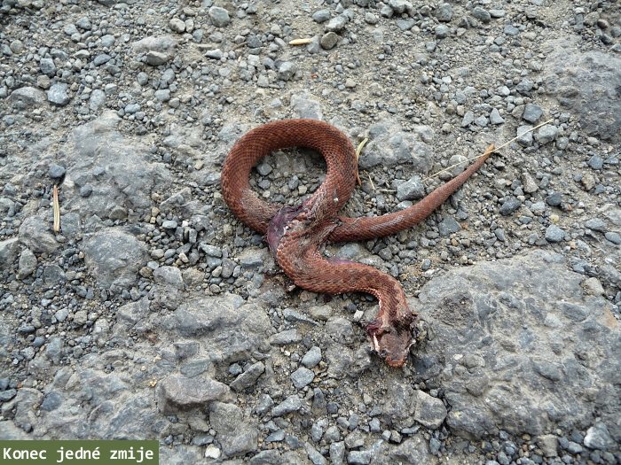 Za g�rovsk� sesuvem