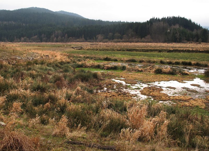 Horn� ��st n�dr�e je bez vody