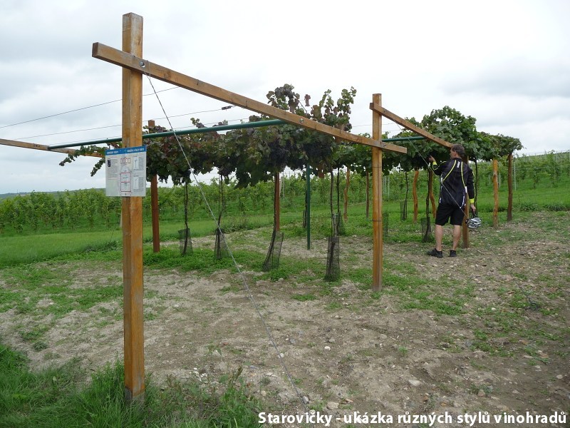 P��jemn� je�d�n� i pro rodi�e s d�tmi