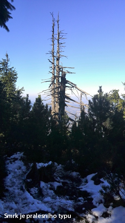 V�stup je t�k�