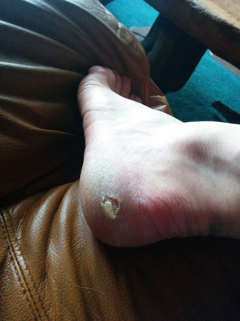 PCT je jedna z nejdel��ch turistick�ch tras na sv�t�!