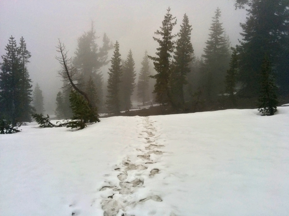 PCT je jedna z nejdel��ch turistick�ch tras na sv�t�!